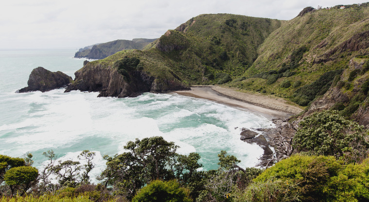 Piha, Waitākere Ranges Regional Park - View of White's Beach (North Piha) from the Te Wha Point Lookout.