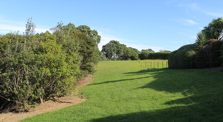 Pinecrest Drive Reserve - . Photo credit: M Loubser.