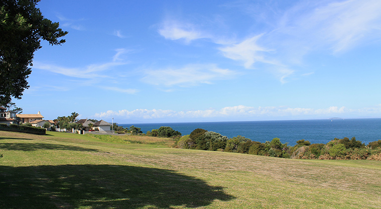 Pinecrest Drive Reserve - Grassed area with trees and sea view in the background. Photo credit: M Loubser.