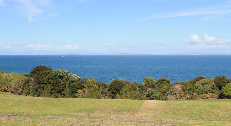 Pinecrest Drive Reserve - Grassed area with trees and sea view in the background. Photo credit: M Loubser.