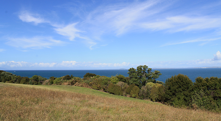 Pinecrest Drive Reserve - Grassed area with trees and sea view in the background. Photo credit: M Loubser.