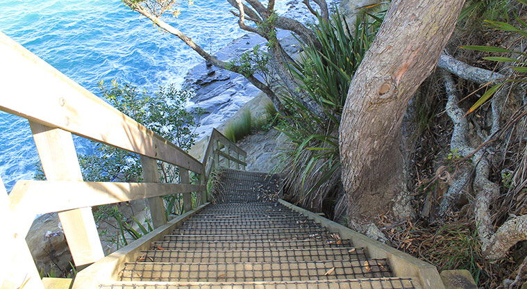 Pinecrest Drive Reserve - Steps down to the waters edge. Photo credit: M Loubser.