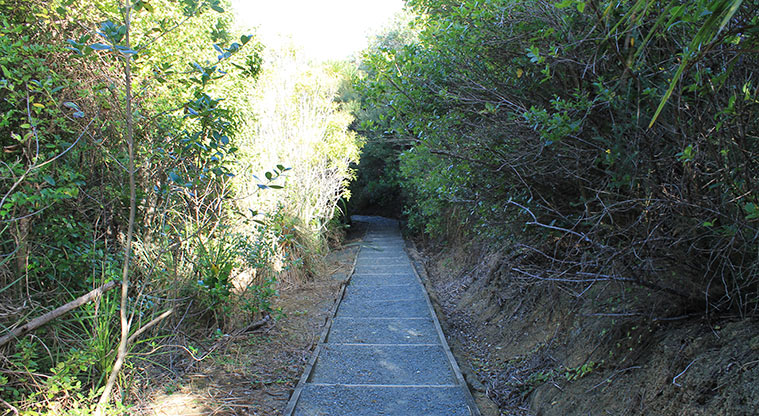 Pinecrest Drive Reserve - Section of steps through the bush. Photo credit: M Loubser.