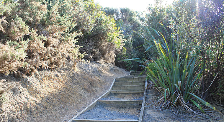 Pinecrest Drive Reserve - Section of steps through the bush. Photo credit: M Loubser.