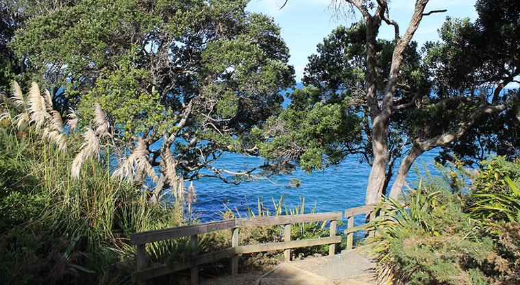 Pinecrest Drive Reserve - View looking out to sea from the track. Photo credit: M Loubser.