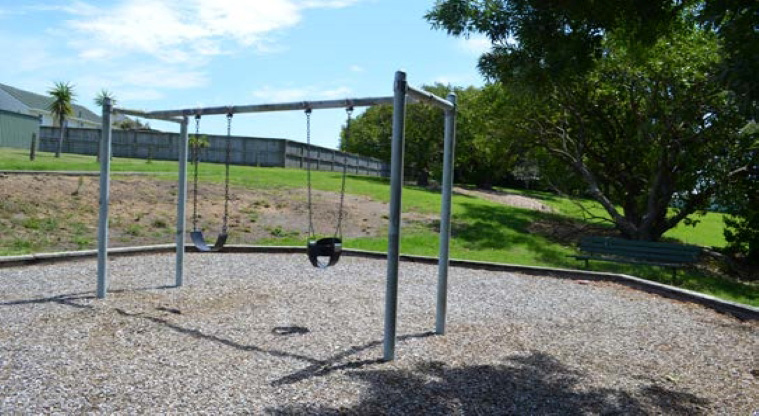 Plymouth Reserve - Set of two swings with open grassed space and trees in the background.