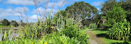 Pōhutukawa Avenue Esplanade Reserve