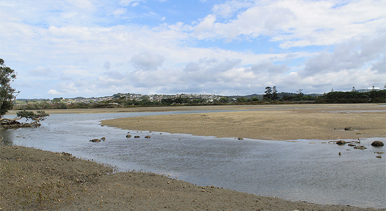Pōhutukawa Reserve - Views of the Ōrewa Estuary. Photo credit: M Loubser.