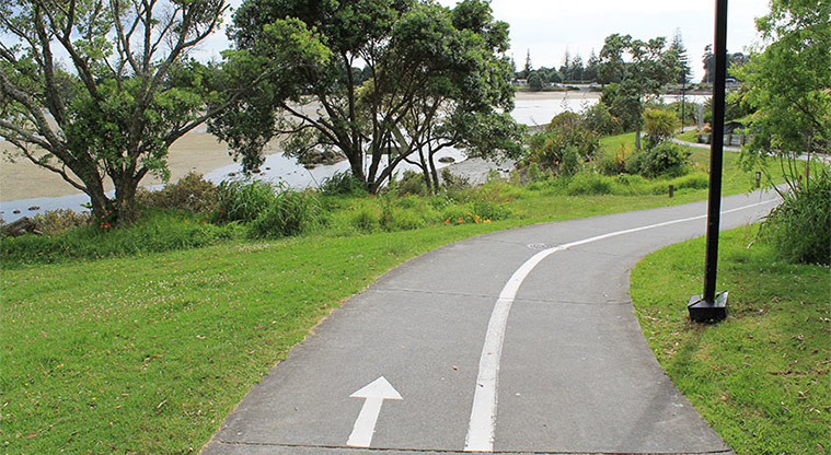Pōhutukawa Reserve - Section of the path that is part of the Te Ara Tahuna / Ōrewa Estuary Path. Photo credit: M Loubser.