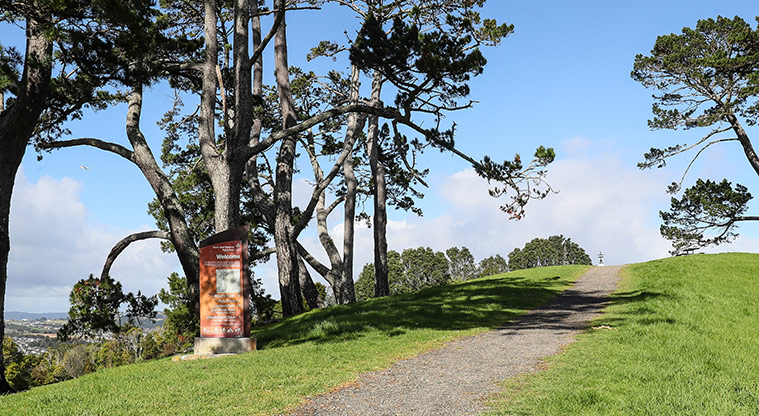 Point View Reserve - Large directional sign at the side of the track, and large established trees.
