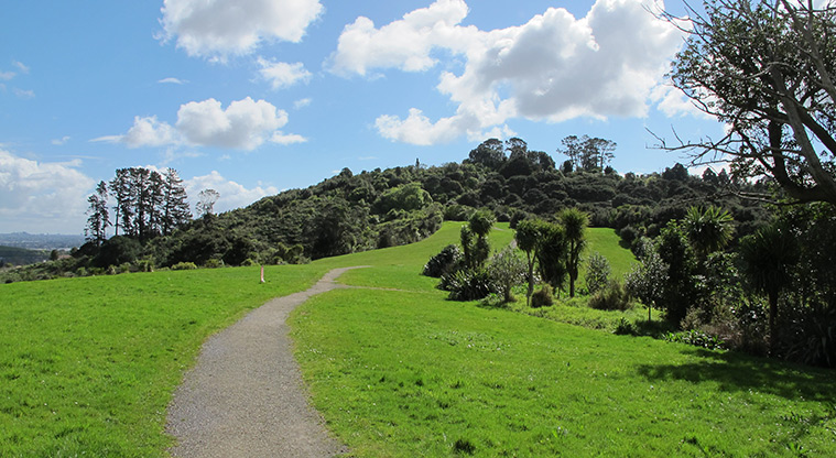 Point View Reserve - Section of gravel track through the reserve.