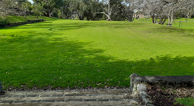 Potters Park - Open field in top north east corner of the park.