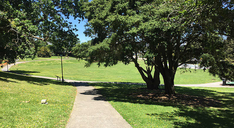 Potters Park – Open space, accessible paths and lots of trees which provide shade.