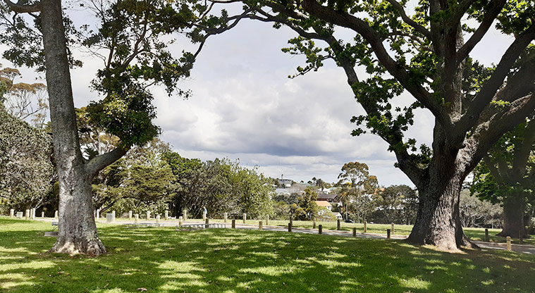 Pt Erin Park - A section of the grassed open space and large established trees. Photo credit: T Hodder.