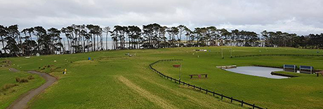 Puhinui Reserve