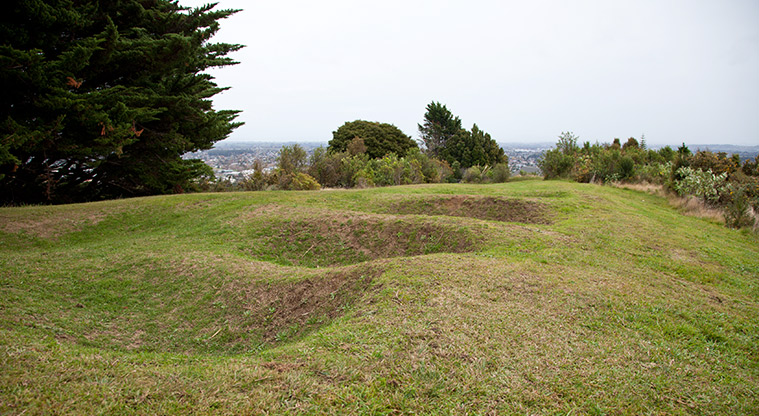 Pukekiwiriki Paa – Rua (storage pits).