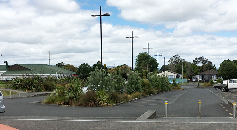 Randwick Park - Large car park. Photo credit: S Hulse.