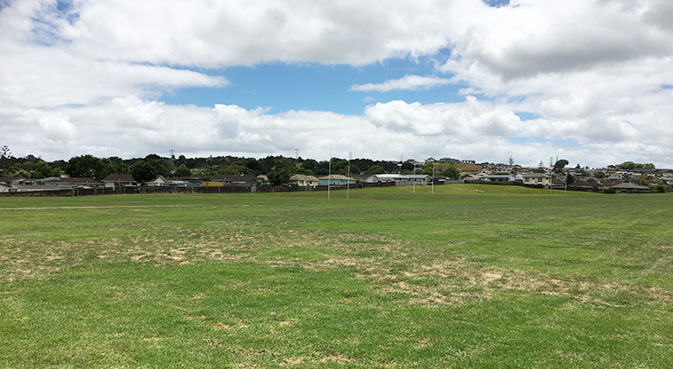 Randwick Park - Open grassed area and sports fields. Photo credit: S Hulse.