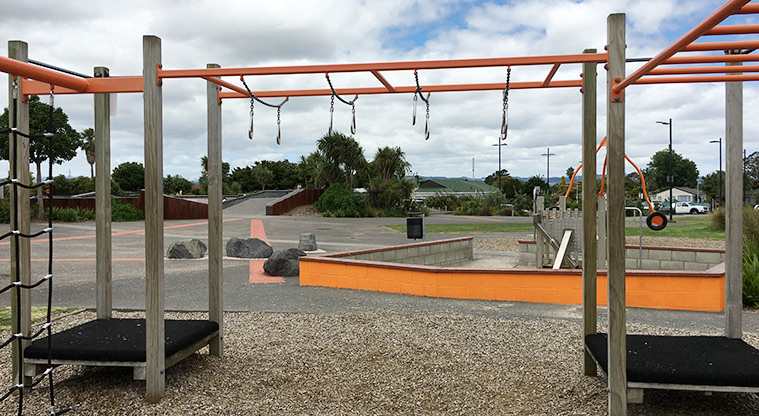 Randwick Park - Equipment for swinging and climbing. Photo credit: S Hulse.
