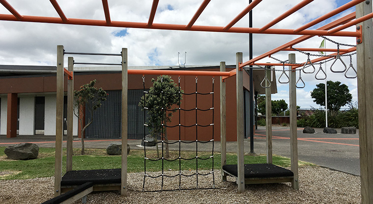 Randwick Park - Equipment for swinging and climbing. Photo credit: S Hulse.