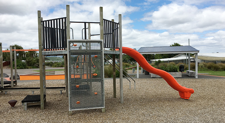 Randwick Park - Playground with climbing equipment, slide, stepping pads, platforms and more. Photo credit: S Hulse.