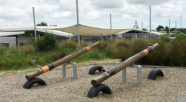 Randwick Park - Two wooden log seesaws. Photo credit: S Hulse.