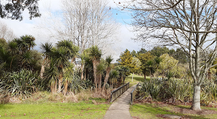 Rānui Domain - Small bridge connecting sections of the park. Photo credit: Tracey Hodder.