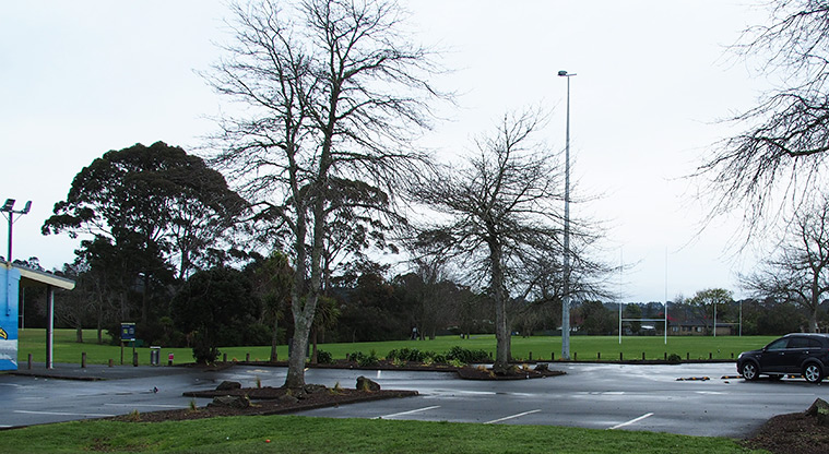 Rānui Domain - Car park with the sports fields and trees in the background. Photo credit: Tracey Hodder.