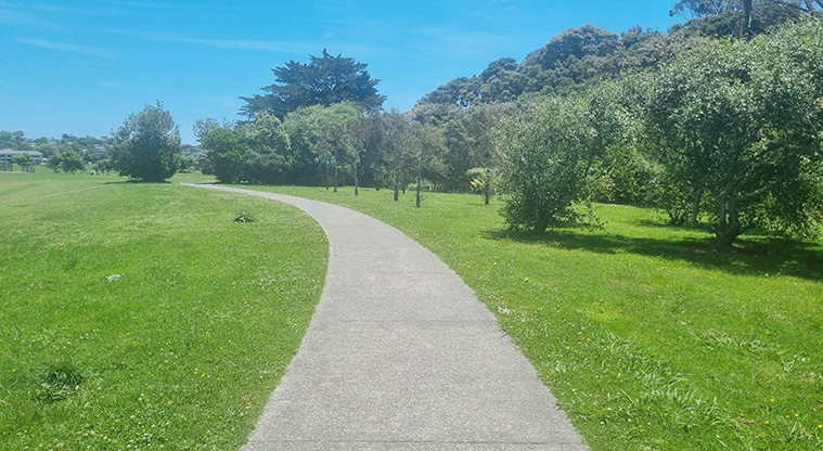 Rautawhiri Park - Section of wide concrete path around the sports fields.