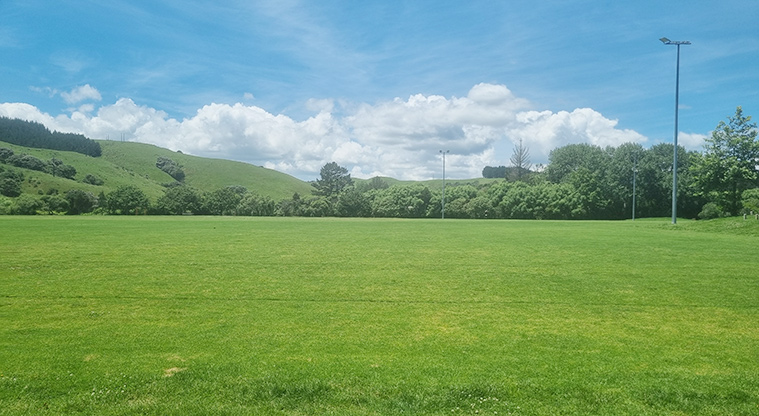 Rautawhiri Park - Section of the sports fields.