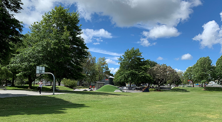 Otaawhati / Ray Small Park - Open space with the basketball court and skate park in the background.