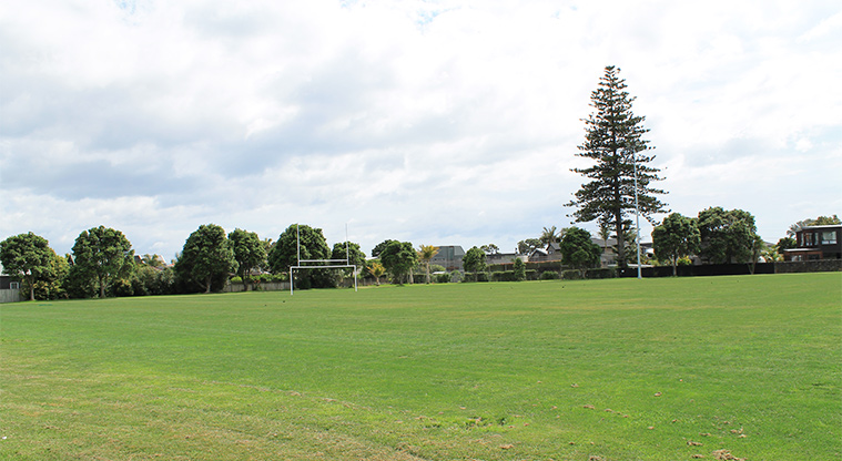 Red Beach Park - Sports field with goal posts and trees in the background. Photo credit: M Loubser.