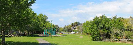 Regency Park Drive Reserve