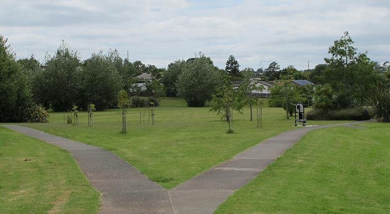Rewi Alley Reserve - Two paths meeting in the middle of the reserve with grass and trees.
