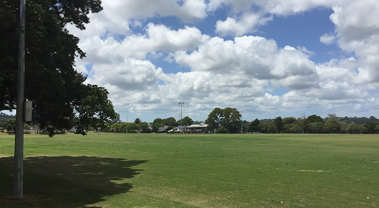 Riverhead War Memorial Park - Sports fields with a large tree in the foreground on the left.