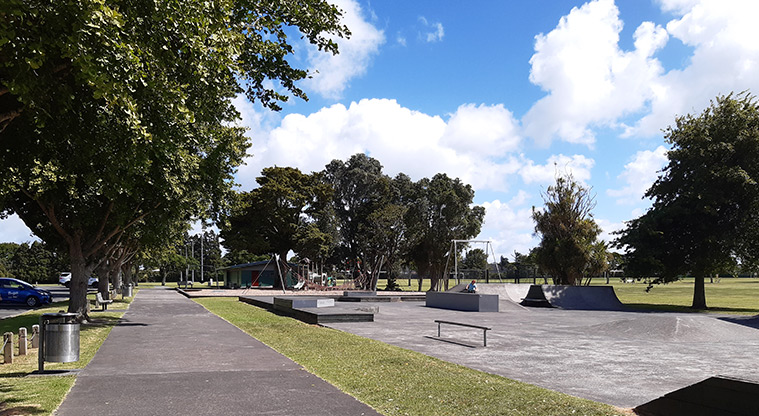 Riversdale Reserve - Skate park with a section of footpath in the foreground.
