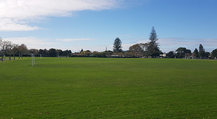 Riversdale Reserve - Sports fields.