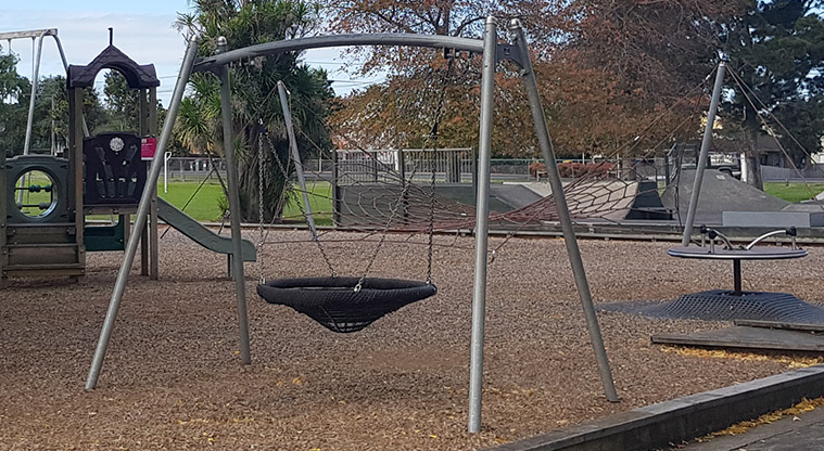 Riversdale Reserve - Basket swing.