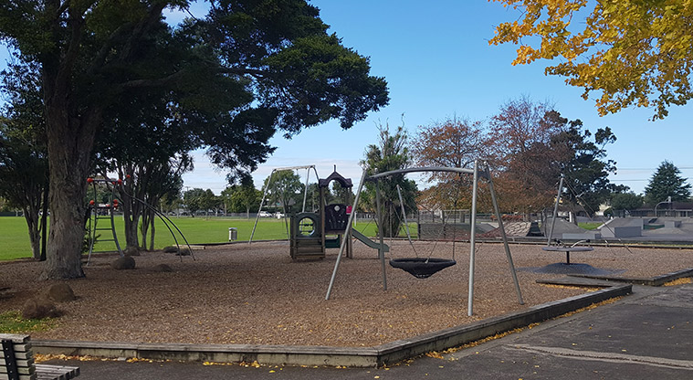 Riversdale Reserve - Playground with a variety of climbing equipment and swings.