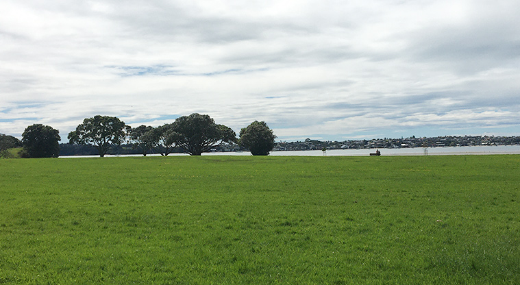 Roberta Reserve - Large open grassed area with the Tāmaki Estuary and trees in the background.