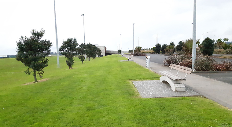 Rongomai Park - Seat with trees and fields on the left, and a section of the car park on the right.