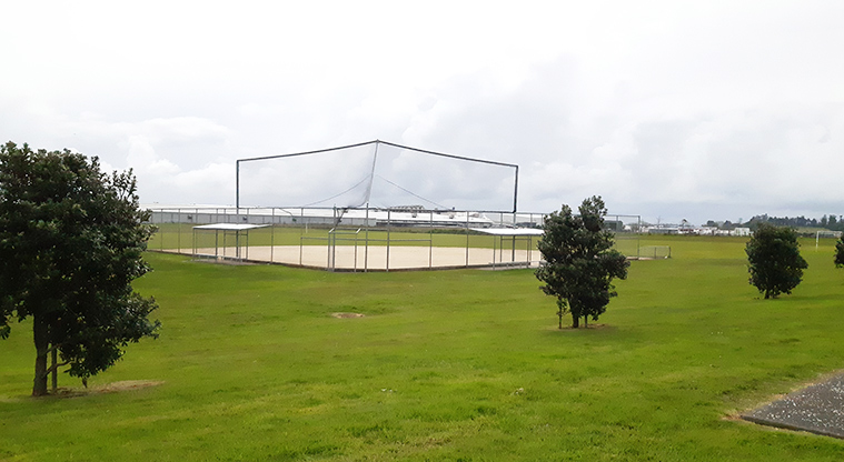 Rongomai Park - Grassed area with trees and the softball/baseball diamond in the background.