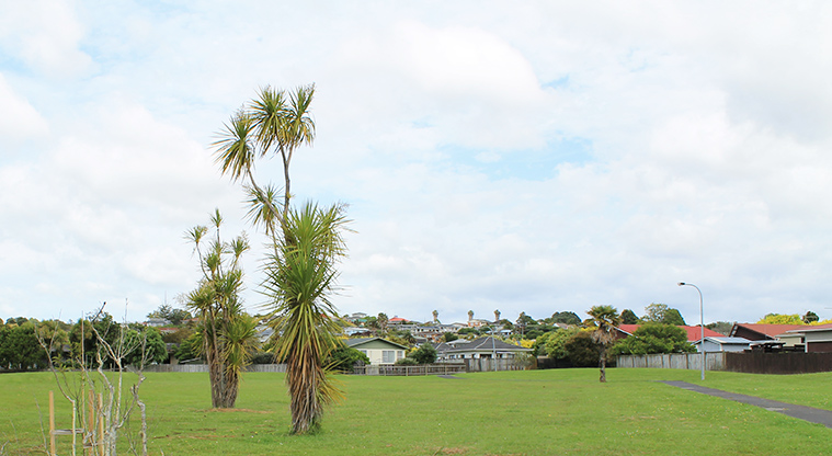 Rosario Reserve - Open grassed area with trees and a path. Photo credit: M Loubser.