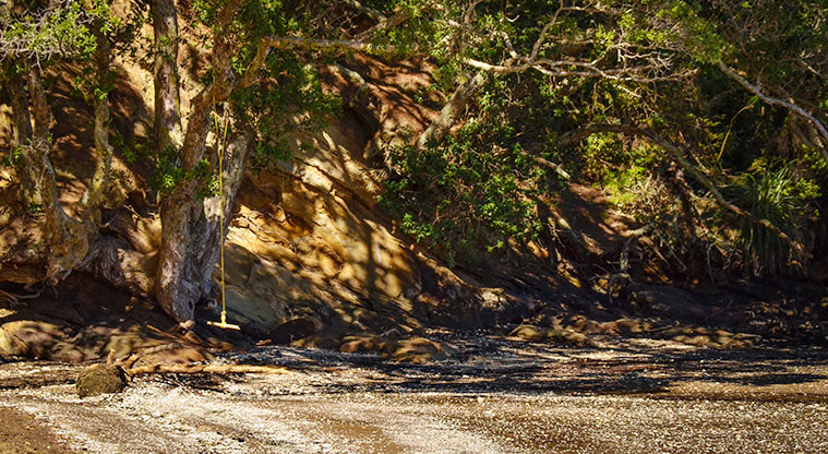 Rosecamp Foreshore Reserve - Section of the beach with a rope swing. Photo credit: Aleksandar Ćirilović.