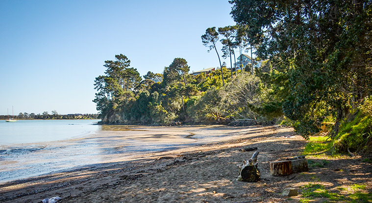 Rosecamp Foreshore Reserve - Section of the beach with a view over the harbour. Photo credit: Aleksandar Ćirilović.