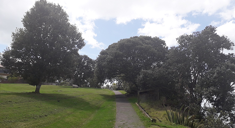 Rothesay Bay Beach Reserve - Section of path leading up the hill from the northern end of the beach.