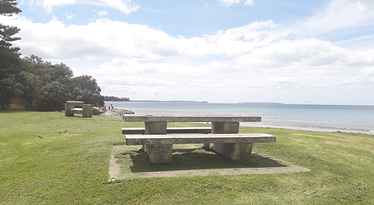 Rothesay Bay Beach Reserve - Picnic table on the grass at the northern end of the beach.