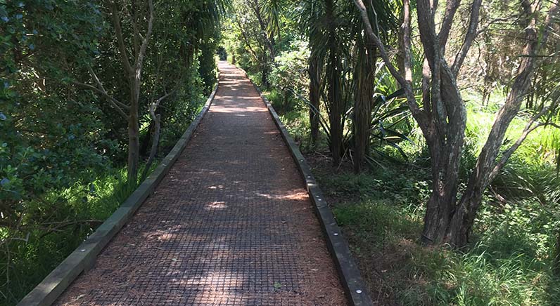 Roy Clements Treeway – A section of the raised boardwalk joining Alberton Avenue with Kerr-Taylor Park.