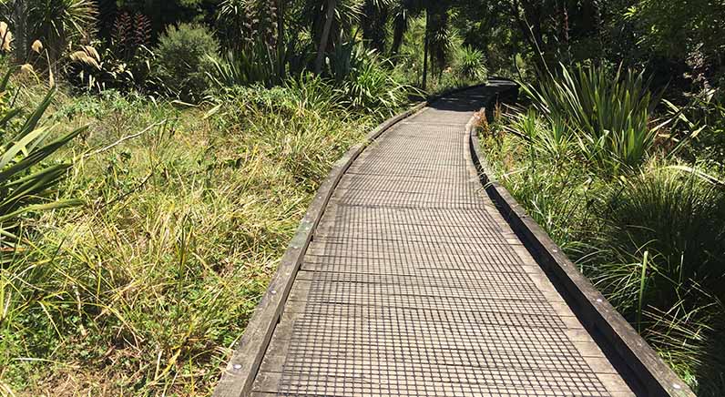 Roy Clements Treeway – A section of the raised boardwalk joining Alberton Avenue with Kerr-Taylor Park.