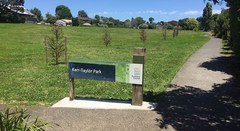 Roy Clements Treeway – The open space of Kerr-Taylor Park with newly planted native trees alongside the paths.